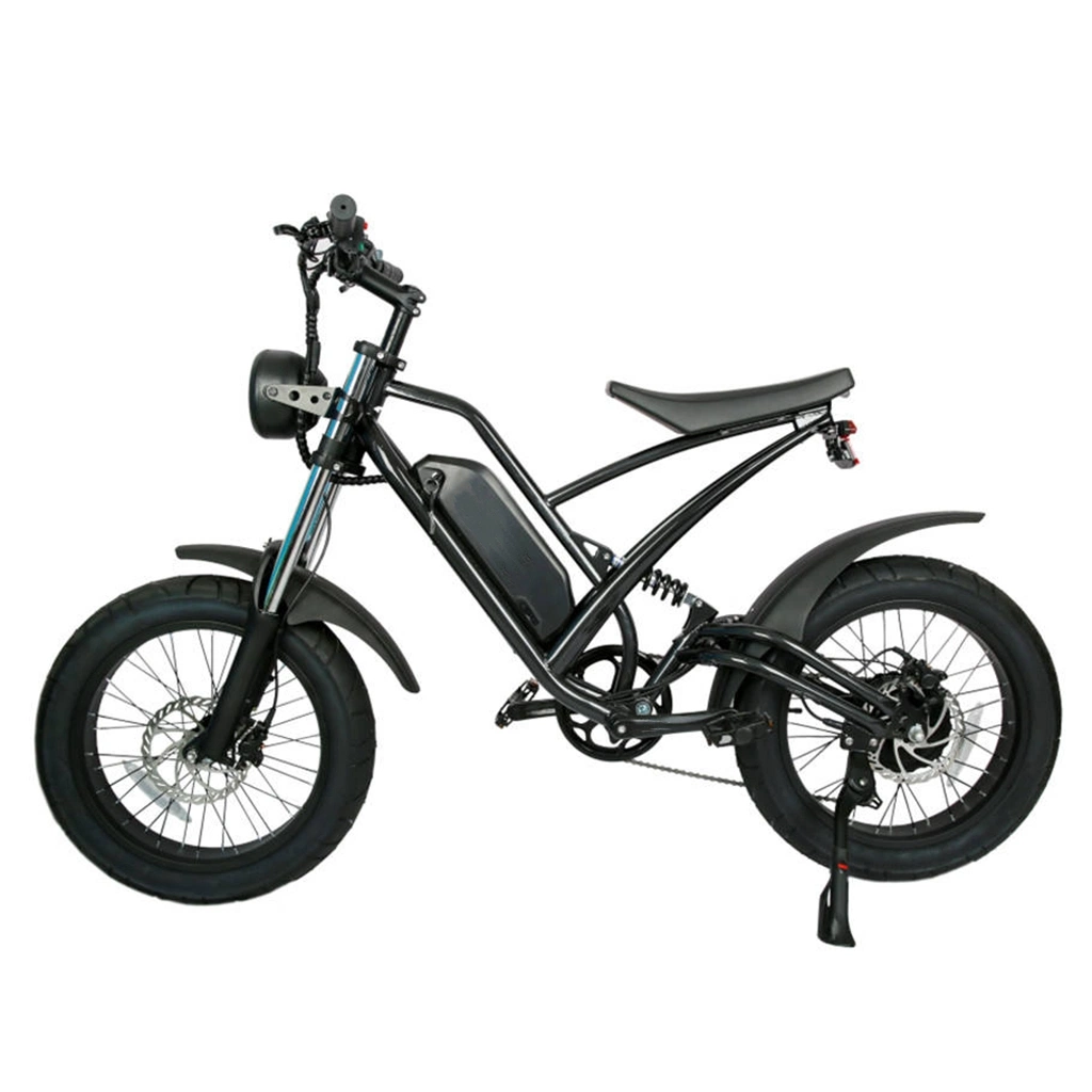 Shimano 7 Speeds Sports Electric Bicycle PRO Fat Bike 750W Motor Offroad Electric Bike Full Suspension E Bicycle for Adults