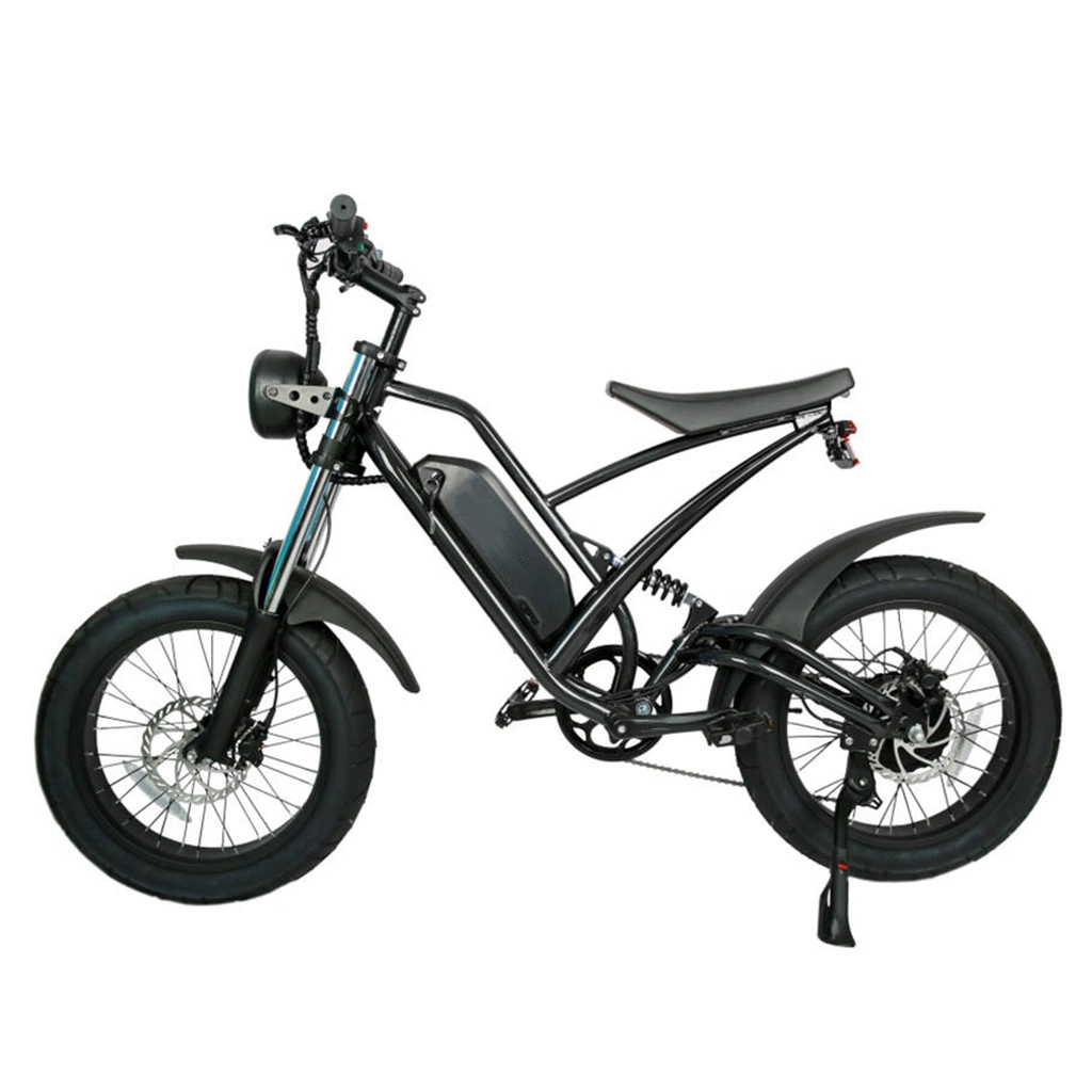 Shimano 7-fach Sport-Elektro-Fahrrad pro Fat Bike 750W Motor Offroad Elektro-Fahrrad voll Federung E Fahrrad für Erwachsene