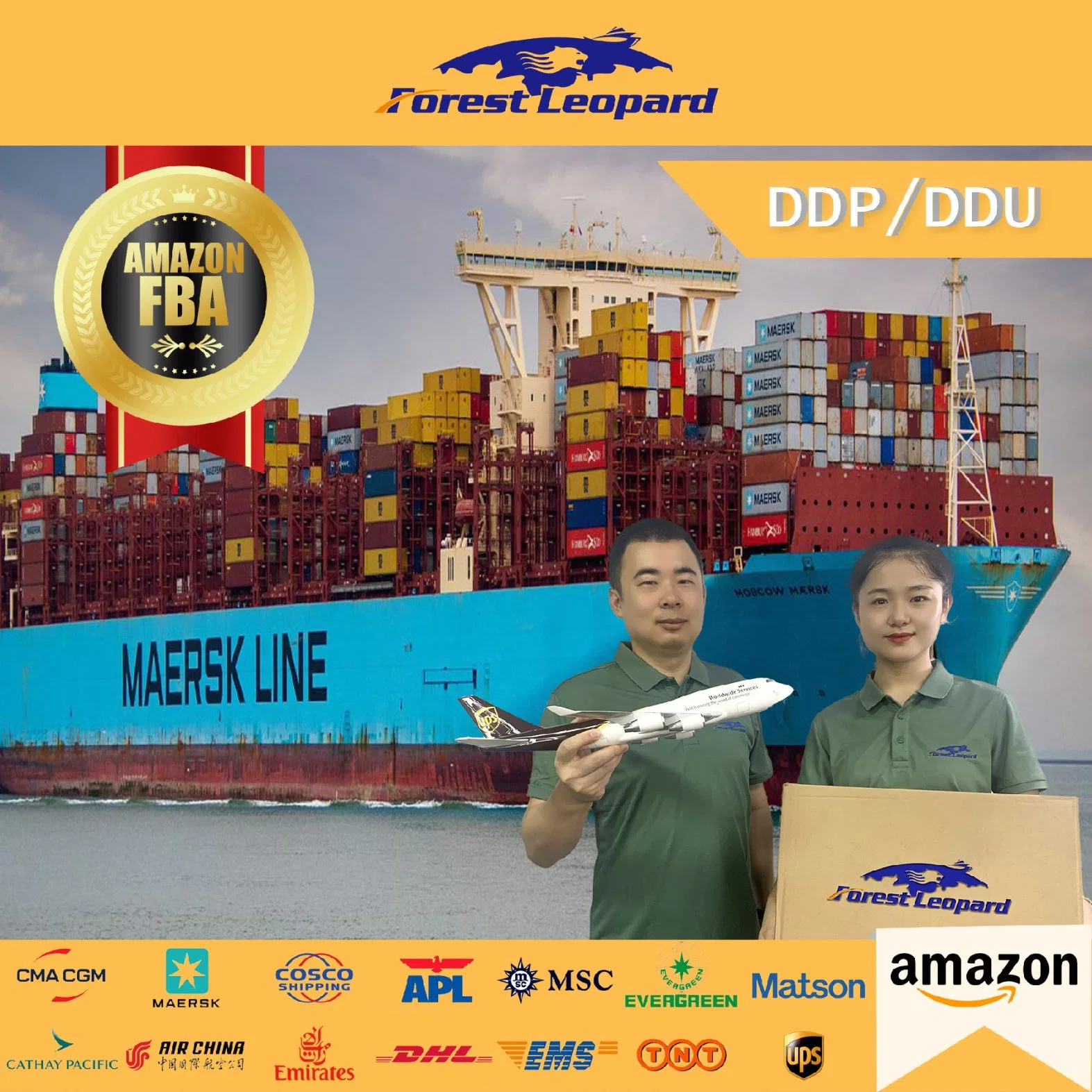 Seefracht Reedereien Tür zu Tür Service China zu USA UK Miami Deutschland von Shenzhen Xiamen Qingdao Shipping Agent