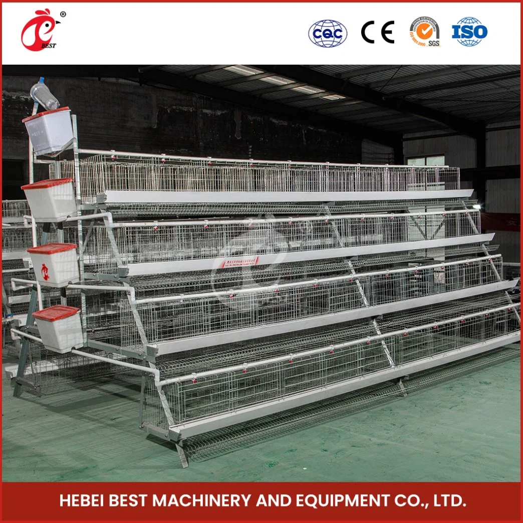 Bestchickencage China H Typ Layer Chicken Layer Cage Factory OEM Benutzerdefinierte Tierhaltung Schicht Hühnerkäfig in Käfig Konfiguration Geflügel Käfig Ausrüstung