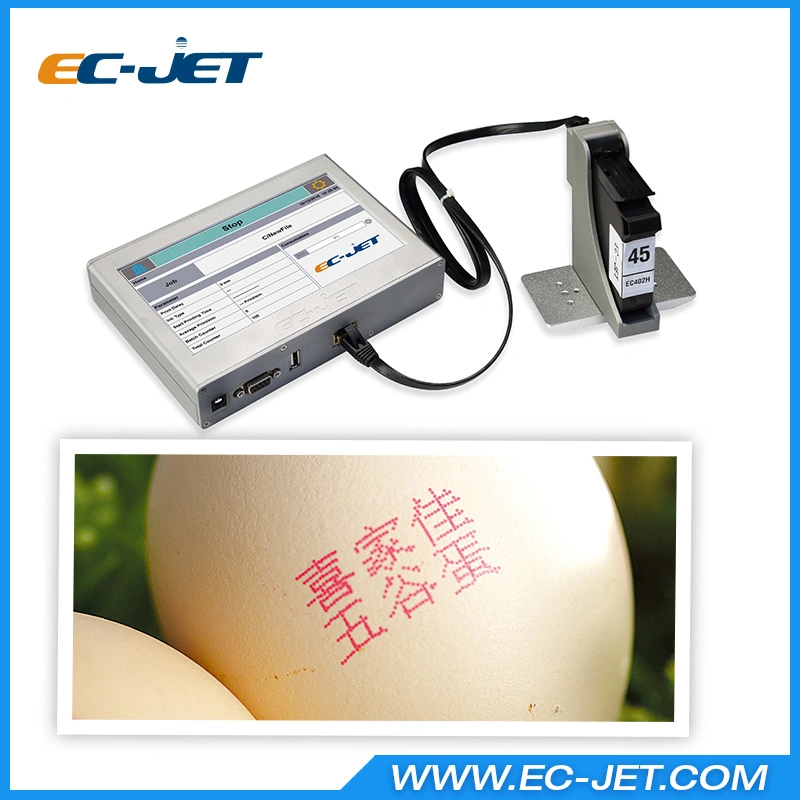 High Resolution Inkjet Printer Ink Cartridge for Fabric/ Textile/ Leather Belt Printing (ECH700)