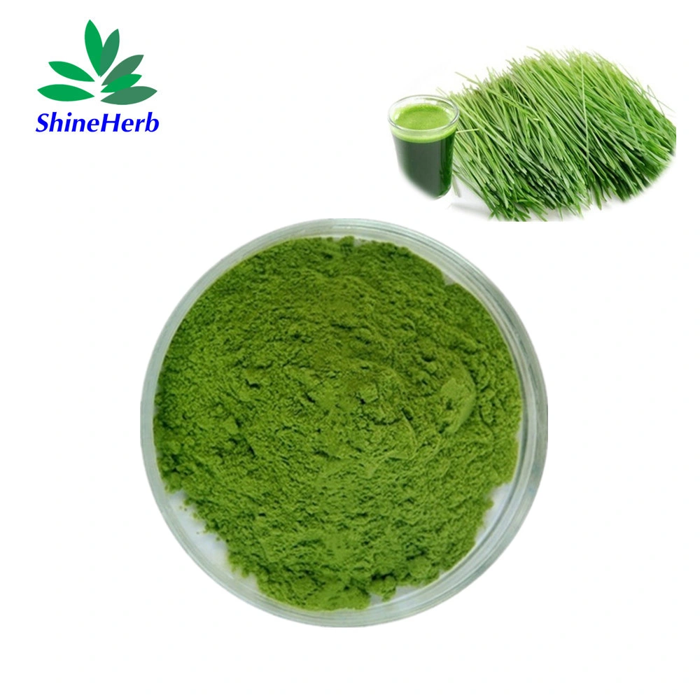 100% Natural Green Food Supplement Pure Barley Grass Juice Powder