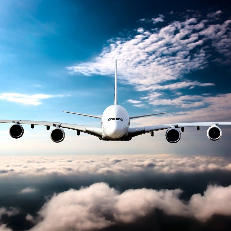 Freight Forwarders From China to South Africa Air/Sea/Express/DDP Services