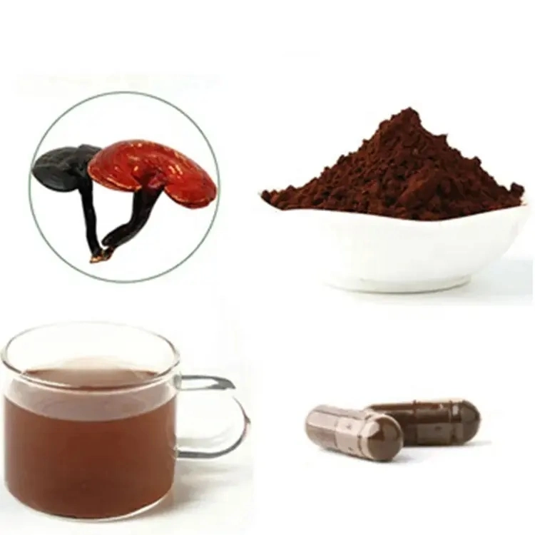 Aceite de esporas Reishi de alta pureza/cápsula de Lingzhi/Ganoderma Lucidum aceite de esporas Softgel