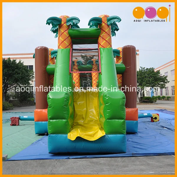 Coco Sphere Obstacle Iflatable Slide Game with Cheap Price (AQ16213)