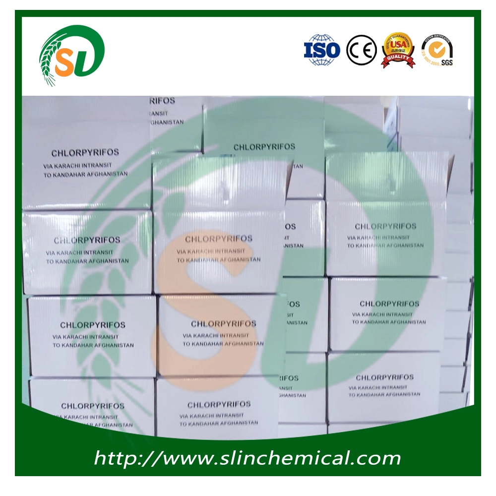 Agroquímicos efectivo plaguicida clorpirifos 20%EC 38,7%40%Ce Ce Ce 48%15%75%Gr WG