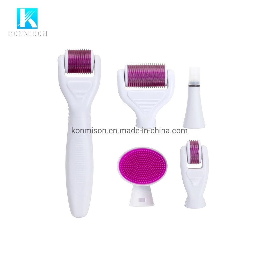 6 en 1 Kit de sistema de rodillo Derma Microneedle Dermaroller de titanio para el rostro y cuerpo Skin Care