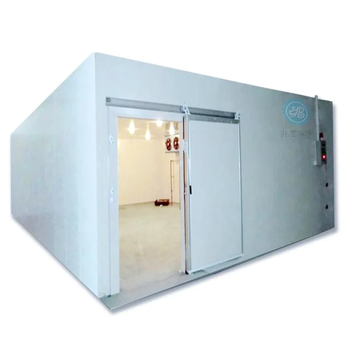 Cold Room Refrigeration System for Food Warehouse
