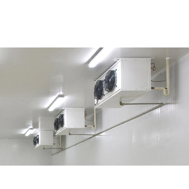 Stainless Steel Medicine Cold Storage Room High Efficiency Freezer Room Cold Storage for Hospital