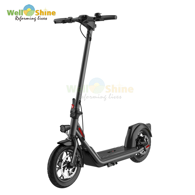 Electric Kick Scooter with Dual Motor for Adults