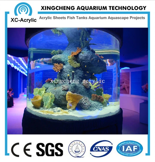 Acrylic Fish Tank Cylinder Acrylic Tank Customized Size Acrylic Tank