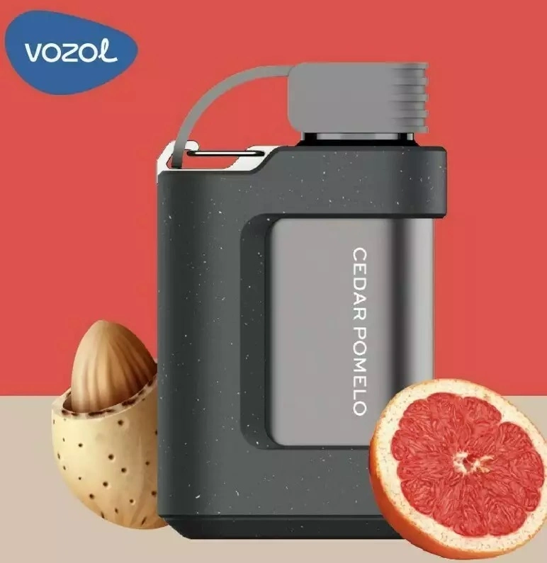 Europe USA UAE Well-Known Brand Vozol Disposable/Chargeable Vape Pod Gear 5000 7000 10000 Puffs Alien 2500 4000 Star Vixn Sopro 15K Wholesale/Supplier I Vape