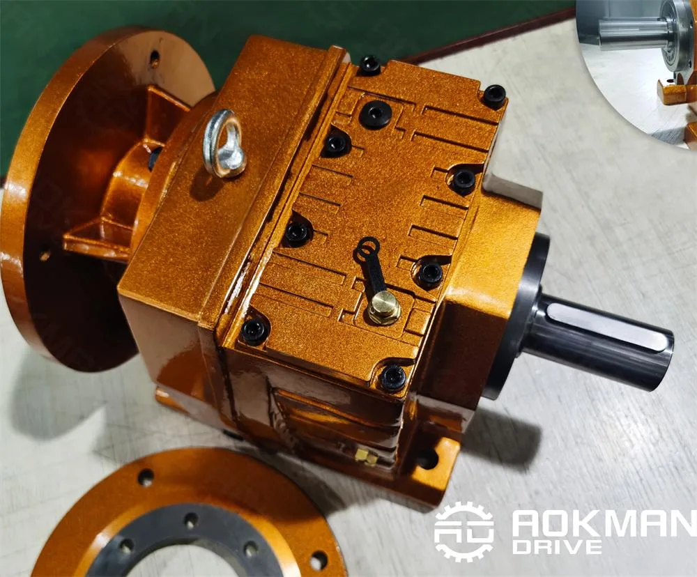 La marca de alta calidad Aokman helicoidal de la serie R de reducción de la caja de velocidades del motor eléctrico