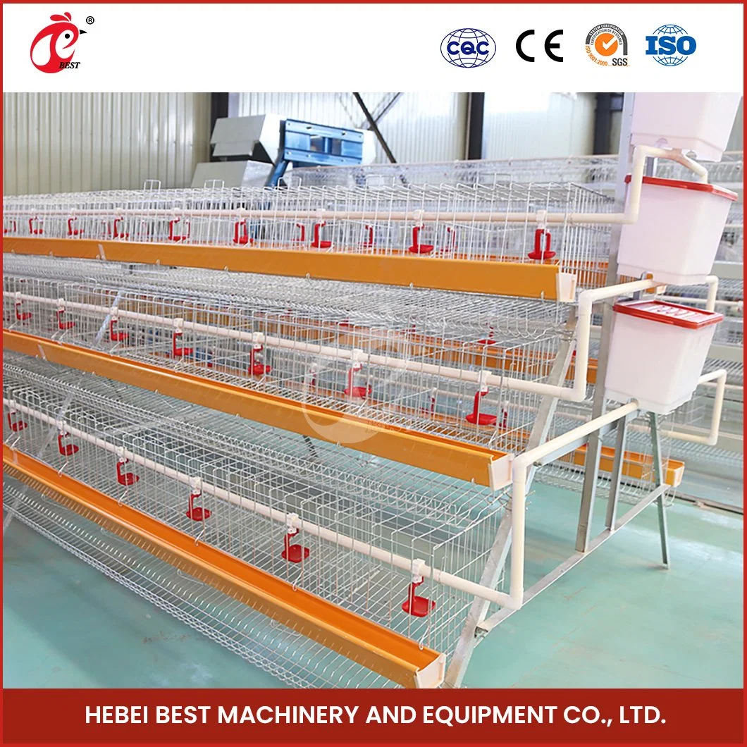 Bestchickencage a Type Chicken Pullet House Cage Breeder Cage China Brooder Chicken Huts Supplier OEM Customized Competitive Price Brooder Battery Cages