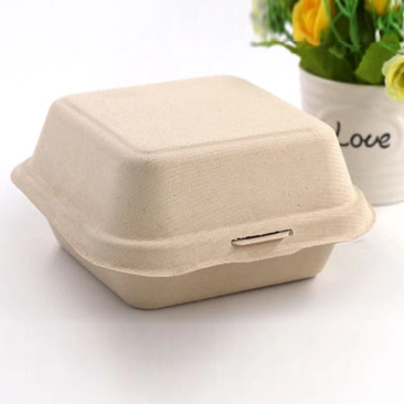 Biodegradable Burger Box Custom-Made Biodegradable Disposable Lunch Box, Takeaway Box