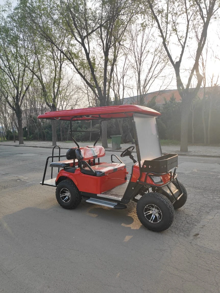 10 Seater Gas Powered Motor Golf Car with LED