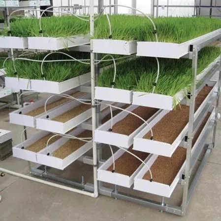 Commercial Greenhouse Hydroponic Fodder System Plastic Hydroponic Growing Systems