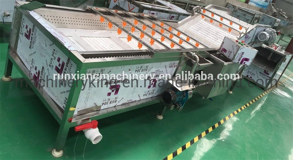 Industrial Fresh Vegetable Fruits Cleaning Processing Machinery