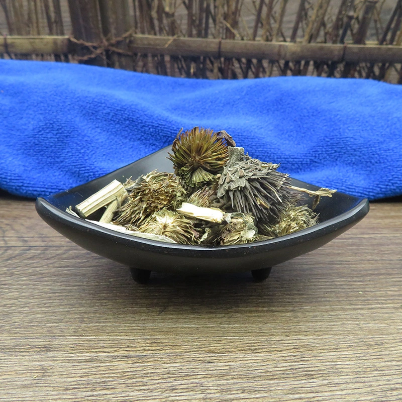 Gesundheit Essen traditionelle chinesische Kräutermedizin Echinacea Purpurea für Extrakt