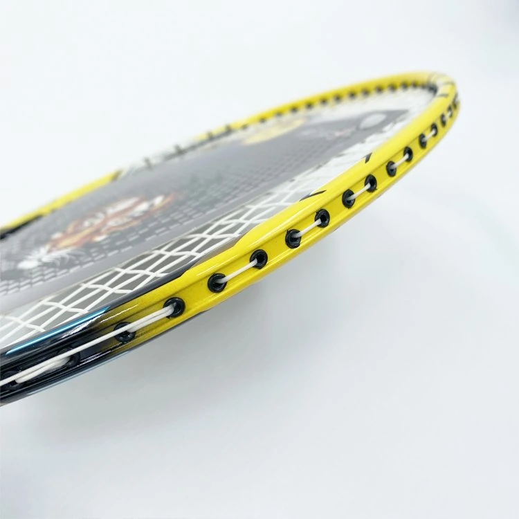 Best Price Carbon Badminton Rackets Fiber Carbon Professional Training with Carry Bag Badminton Racquet Wholesale/Supplier