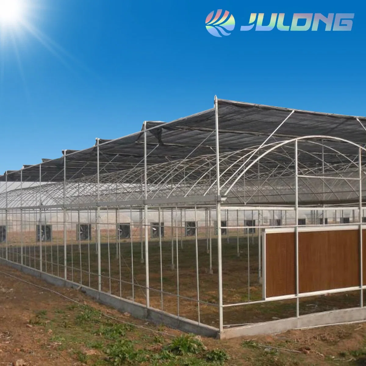 Hydroponic Growing System Plastic Film Greenhouse for Vegetables with Installation