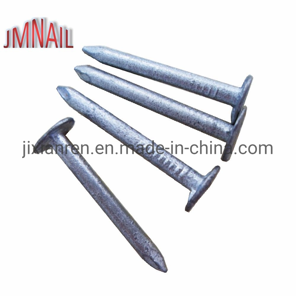 1"Xbwg11 Hot Dipped Galvanized Roofing Nails