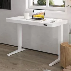 Office Luxury Electric Single Motor Desk Sit and Standing up Computer Lift Desk White Frame Adjustable Height