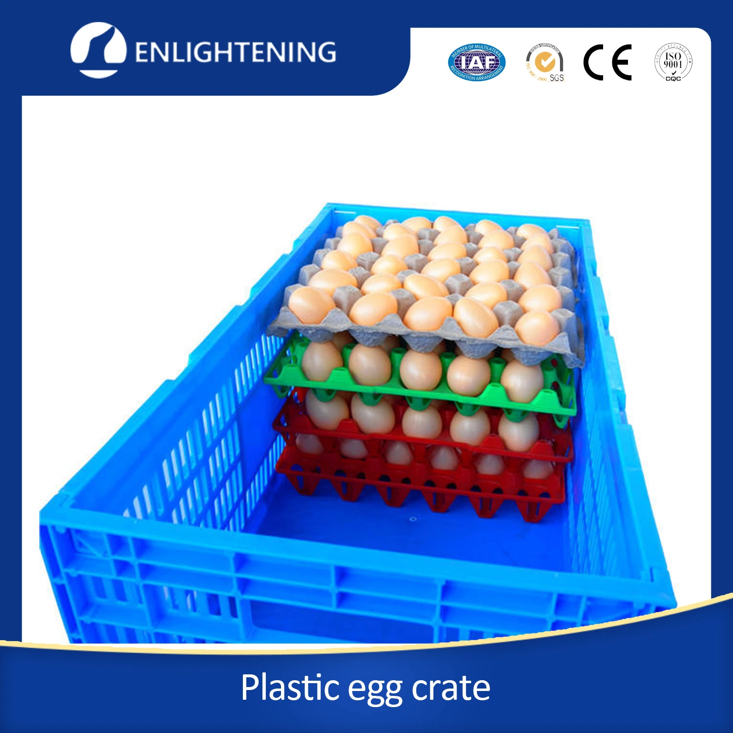 High quality/High cost performance  Large Mesh PE Durable Plastic Egg Tray Plastic Egg Crate for Supermarket