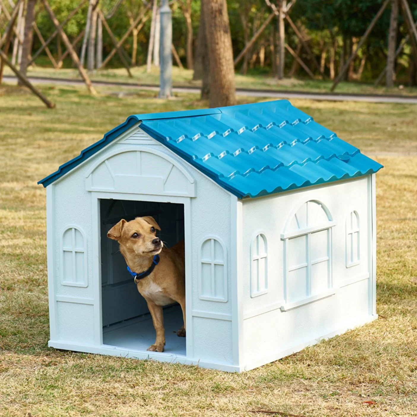 Wholesale/Supplier Elevated Floor Plastic Dog Kennels Large Outdoor Pet House with Door