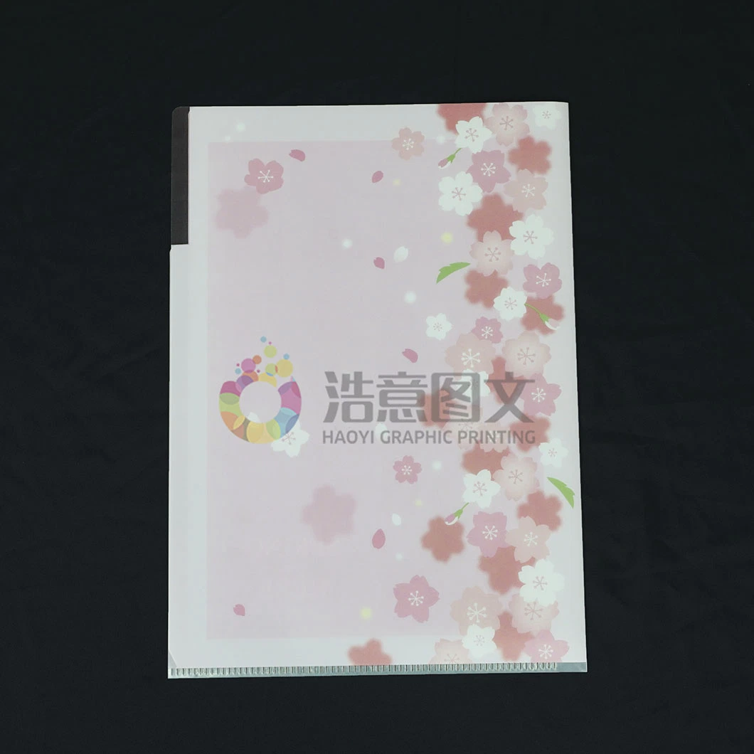 Chine Wholesale PP Data Collection Volume Packaging de dossiers transparents personnalisés