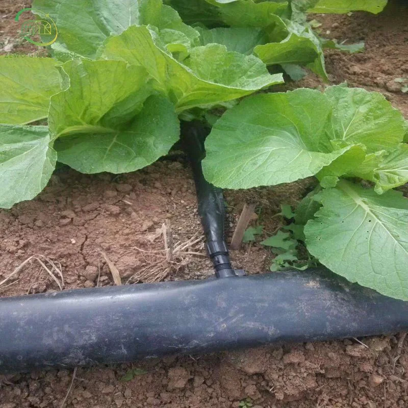 High quality/High cost performance  Automatic Drip Irrigation System for Greenhouse