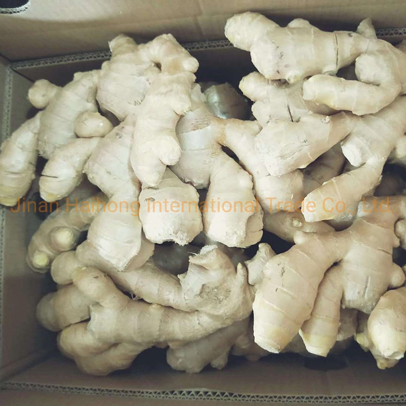 Wholesale Fresh Vegetable Air Dry Ginger