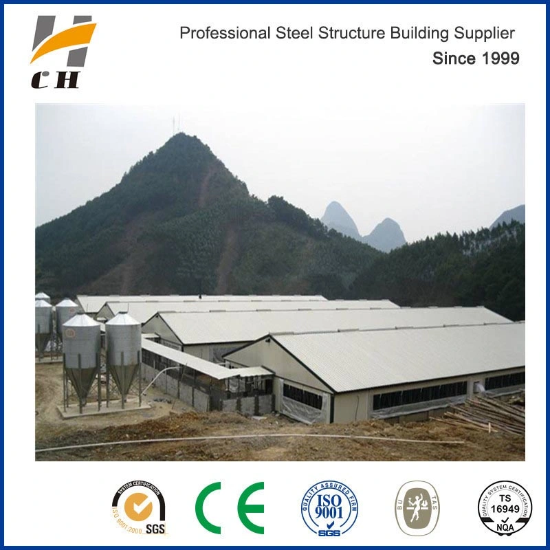 Factroy Price Quality Prefab/Prefabricated Light Weight Steel Structure Frame Metal Livestock Farm /Poultry Farms/Poultry Chicken Farm with Equipment