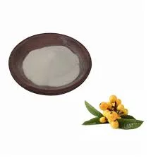 100% Natural Product Loquat Leaf Extract, Folium Eriobotryae Extract, 98% Ursolic Acid