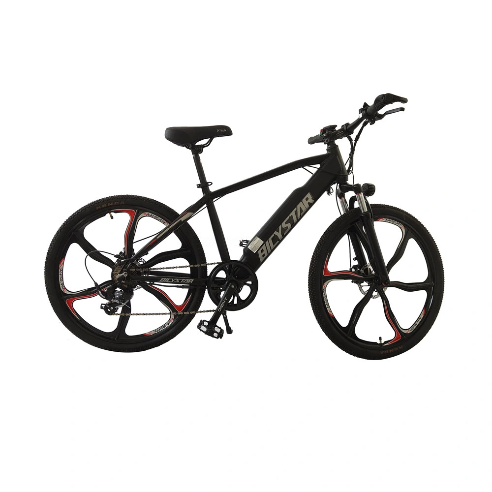 Electric Bicycle Mountain CE Cheap City Complect Cool Cycle Design Electric Electric Bicycle