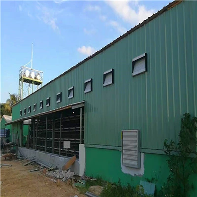 Morden Design Fast Built Construction Steel Building Pig House /Cattle Shed/Poultry Farm