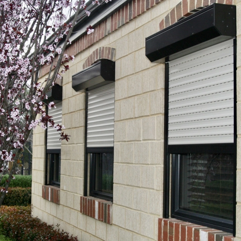 2-20% Discount Insulated Security Motorized Roller Blinds Shades Shutters