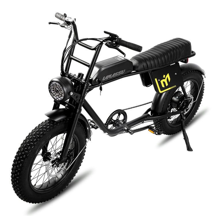 Joykie High quality/High cost performance 750W City Cruiser Commuter Chopper Fat Tire Electric Motorbike Bicycle