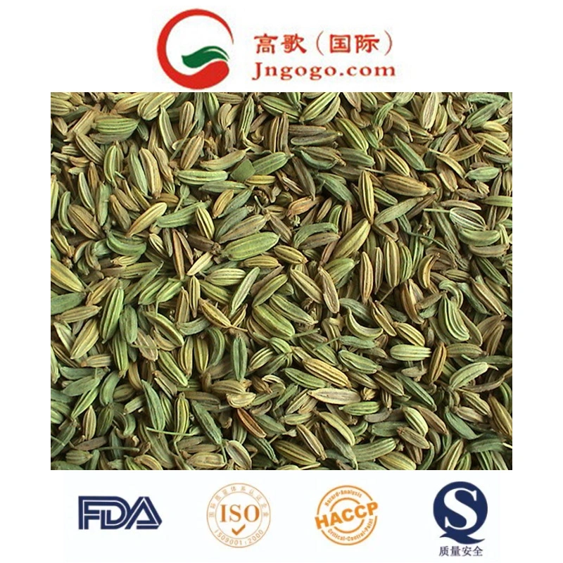 Chinese New Crop Fennel Seeds