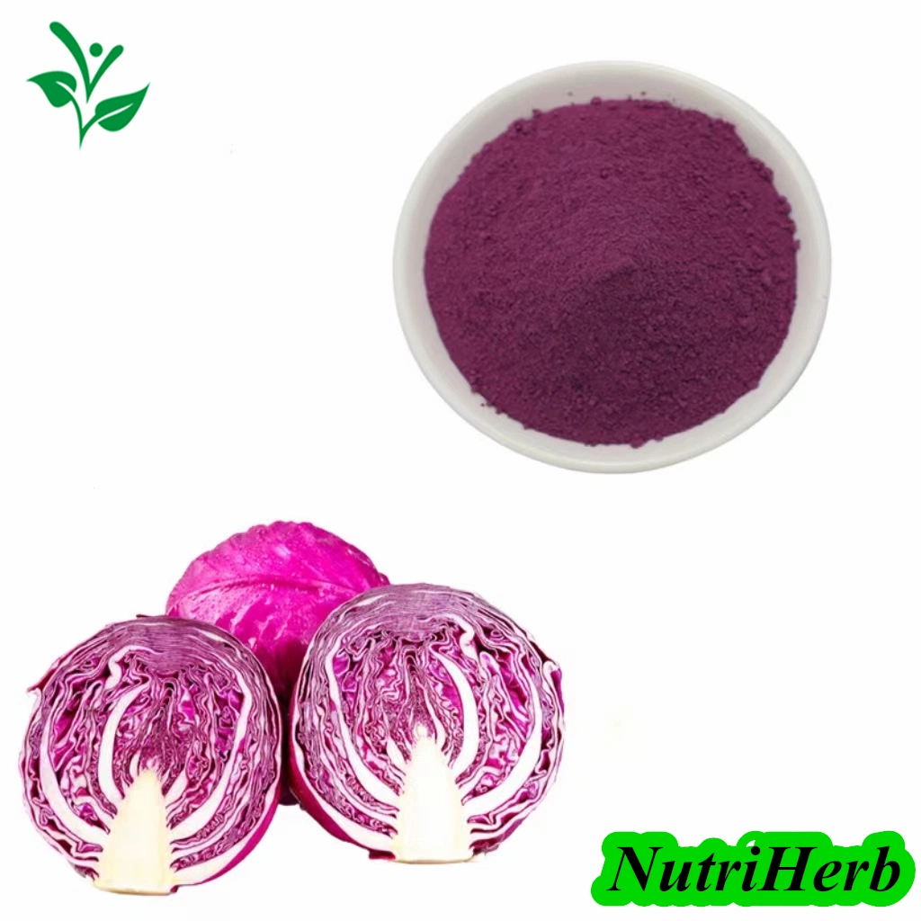 Pure Natural Extract Food Coloring Red Cabbage Extract, Red Cabbage Juice Powder