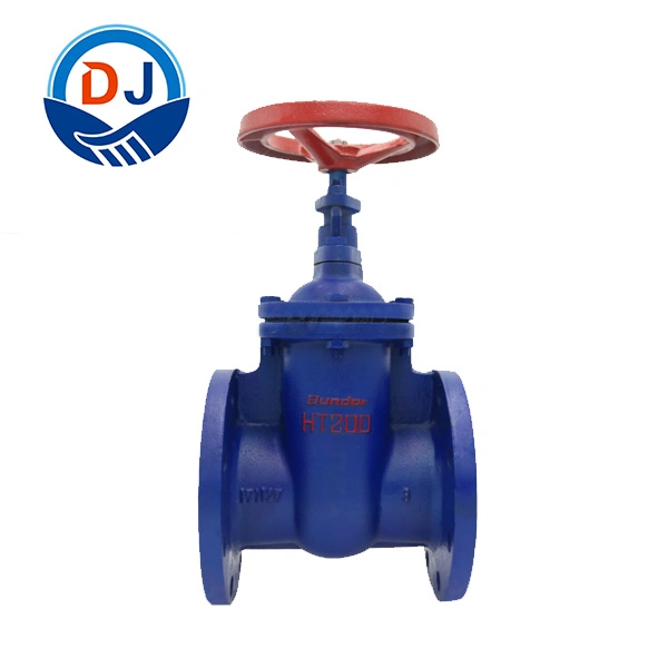 New Products Listed Blue Appearance Gray Cast Iron Gate Valve