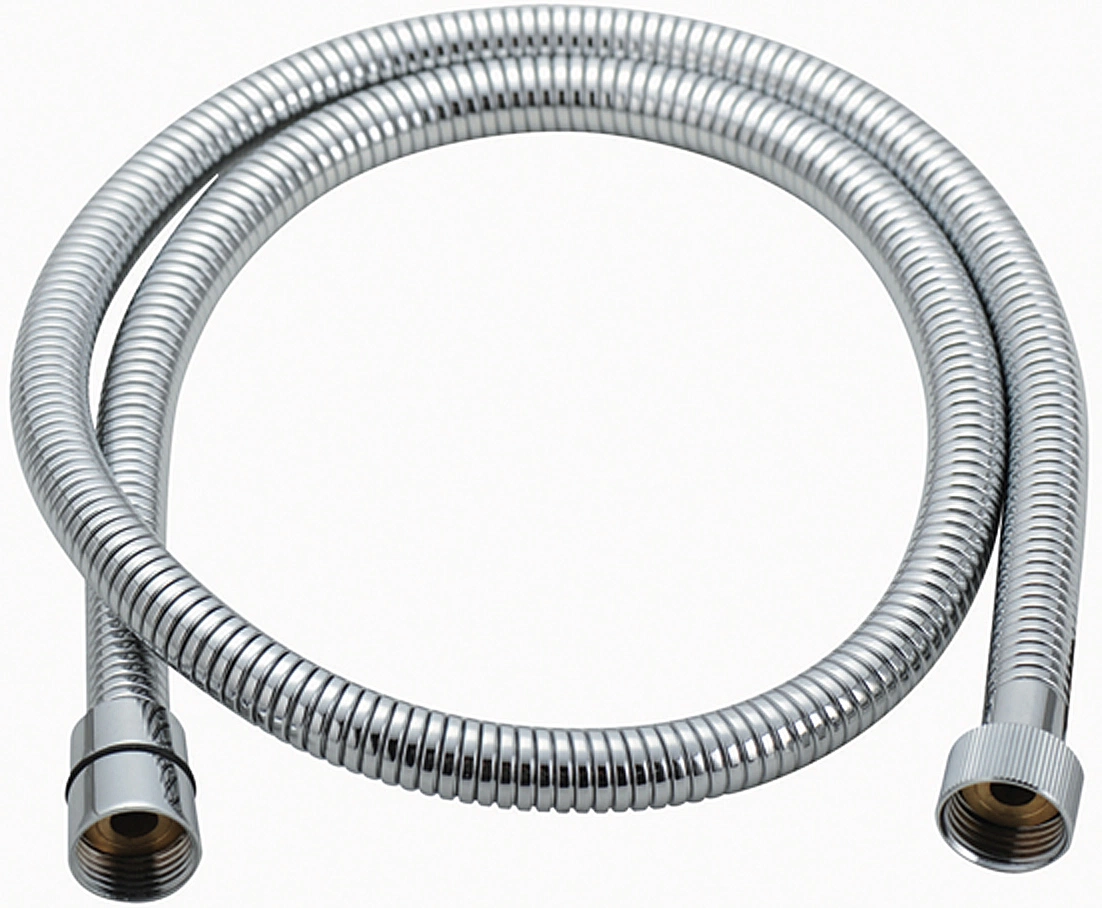 Stainless Steel Spray Nozzle Hose Shower Fittings Hose