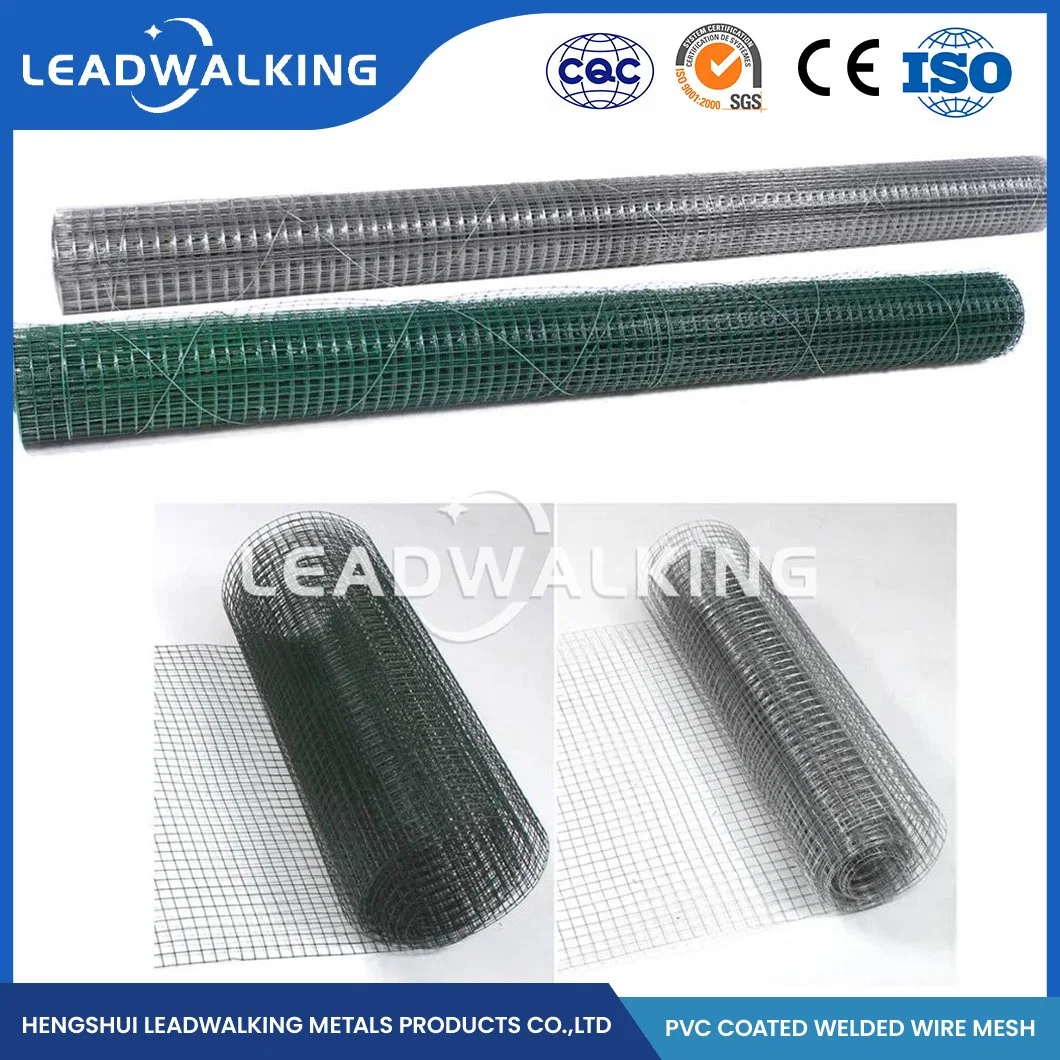 Los halos de acero galvanizado Leadwalking/Fábrica de mallas soldadas de malla de alambre galvanizado mayorista China 10.0x10.0mm Electric galvanizado recubierto de PVC mallas soldadas