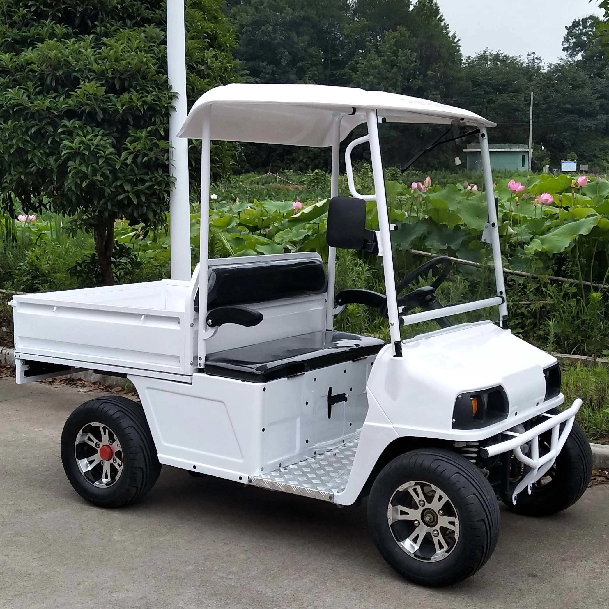 Новый дизайн Оптовая торговля мобильность Scooter Мини Utility Golf Carts Electric Пикап. Самосвал