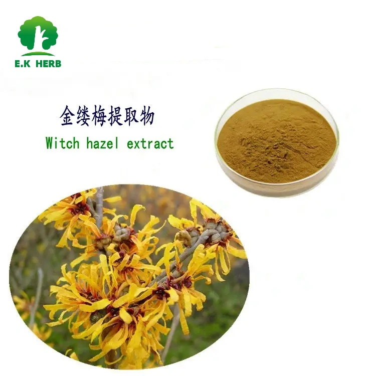 E. K Herb Leading Plant Extract Manufacturer High Purity Comestics Skincare Tannins 10% ~60% Witch Hazel Extract Hamamelis Virginiana Extract