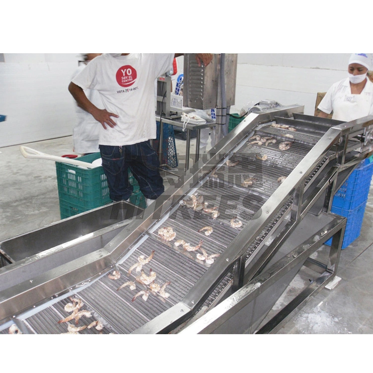 Seafood Fish Meat Ball Ice Glazing Covering Equipment Machine