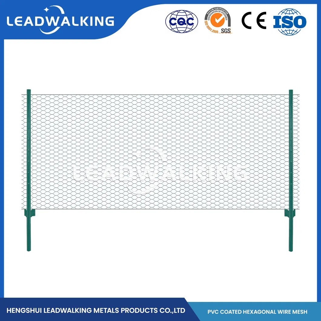 Fil en acier doux Leadwalking Matériel PVC enduites Fox La preuve de poulet de la Chine d'usine de treillis métallique à mailles de 5/8 pouce enduit de PVC maille hexagonale à tête hexagonale