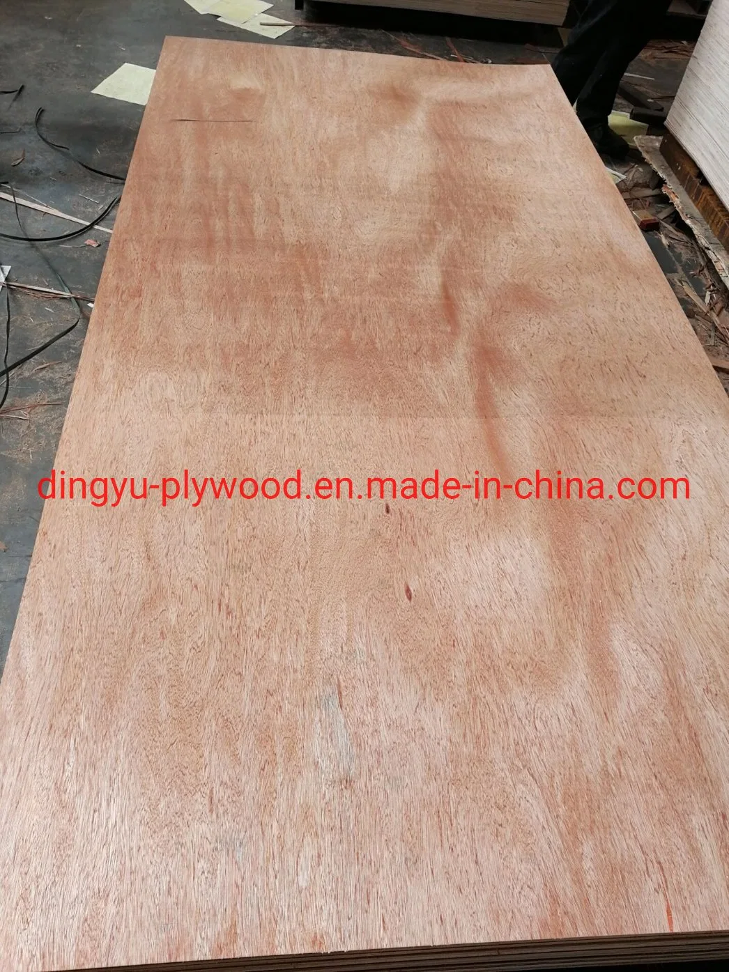 Okoume Plywood Bintangor Plywood Commercial Plywood for Packing