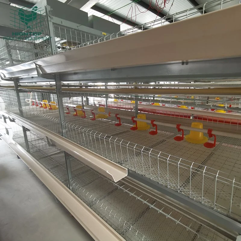 Automatic Battery H Type 3 4 Tiers Broiler Cage for Chicken Raising Poultry Farm