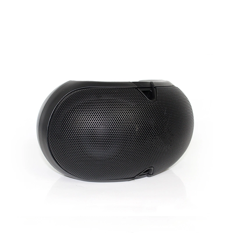 Sample Provided Passive Conference Speaker with 65Hz-20kHz Frequency Response